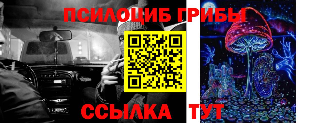 Галлюциногенные грибы Cubensis Благовещенск